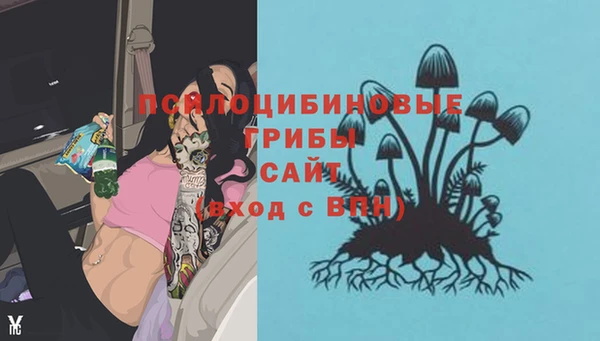 бошки Алзамай