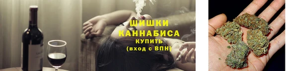 ГАЛЛЮЦИНОГЕННЫЕ ГРИБЫ Алексин