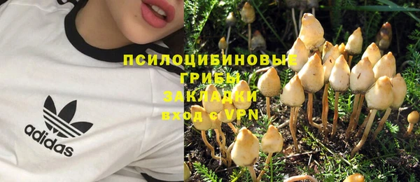 индика Алексеевка