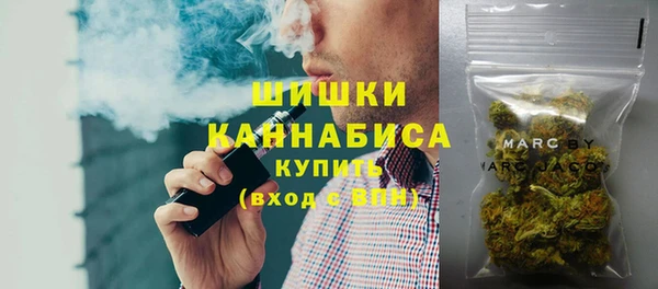 ГАЛЛЮЦИНОГЕННЫЕ ГРИБЫ Алексин