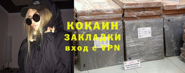 индика Алексеевка