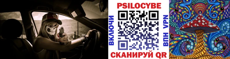 Псилоцибиновые грибы мицелий  как найти   Биробиджан 