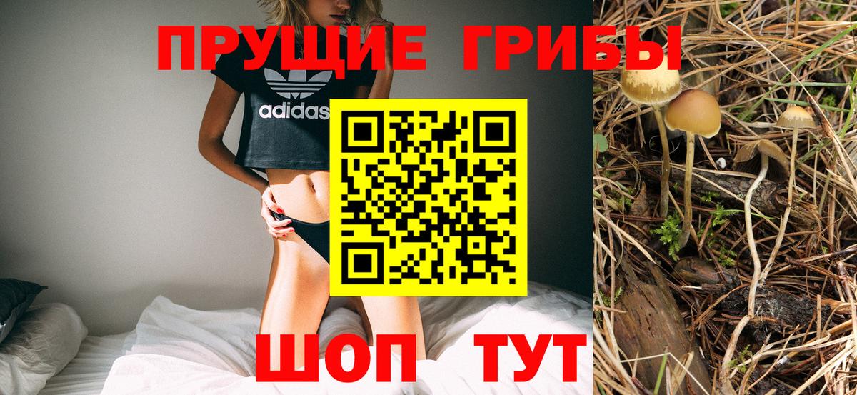 Галлюциногенные грибы мицелий Биробиджан