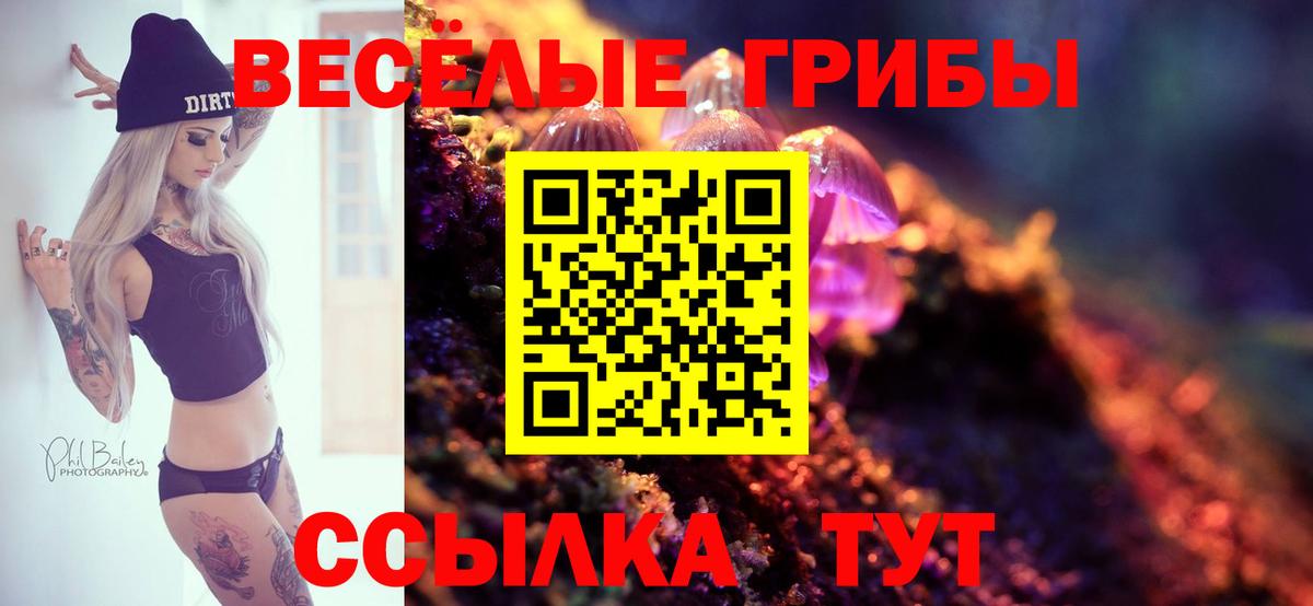 Псилоцибиновые грибы GOLDEN TEACHER  Вход с VPN  даркнет сайт  Биробиджан 